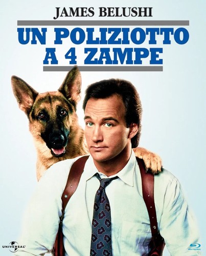 Poliziotto 4 zampe - poliziotto,