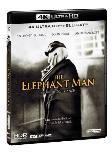 The elephant man ultra hd - elephant, (4k